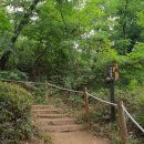 서리풀공원1-16 이미지