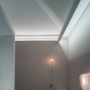 도그-in 하우스 이미지