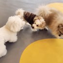 은계유치원 이미지