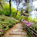 너부대근린공원 이미지