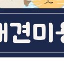 퍼피캣 애견미용 애견호텔 인천루원시티점 네이버블로그
