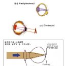 글라스스토리 이미지