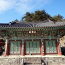 진주 정평리 무환자나무 이미지