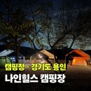 보개원삼로 | 경기도 키즈캠핑장 용인 나인힐스 캠핑장 할로윈 2주차 후기 BB존