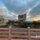 블링존 애월 이미지