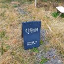 여자 혼자 겨울 제주도 ① 동문시장, 동백수목원, 달무지개, 공방체험, 액자만들기, 올레시장