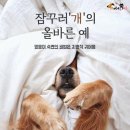 예