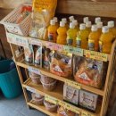 돗가비 항아리 불쭈꾸미 | 청주봉명동맛집 돗가비 항아리 불쭈꾸미 가족외식 추천