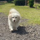 두루와펜션 이미지