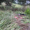 가을이 깊어갈수록 바쁩니다. 이미지