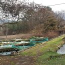 횡성송어횟집 이미지