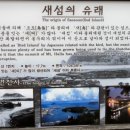 서귀동-19 이미지