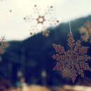 코모코한의원 이미지