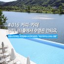 1929 | 주말에 조용히 가기 좋은 북한강 카페, 하프커피익스프레스 청평코튼글램핑점 (수도권 카페 추천)
