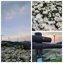 육백마지기 | 강원도 평창 육백마지기 당일치기 여행 후기