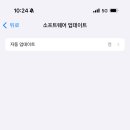 ios 제일 최신버전 18.3.1 맞아? 이미지