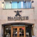 안동재활용 | 안동 맘모스베이커리 크림치즈빵 유자파운드