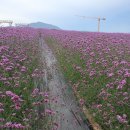 TOP노래방 이미지