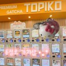 SMILE뽑기샵(공항점) | 대구 동성로 소품샵 실내 놀거리 데이트 코스 가챠샵 토피코