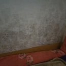 금강평 민박 이미지