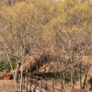 월미공원 돈대삼거리화장실 | 인천 가볼 만한 곳 반려동물 동반 여행 월미공원 둘레길 월미 전망대 월미산 정상 뷰