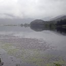 연꽃마을건넌들 이미지