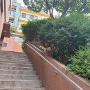 해운O/T사무 노동조합 | [6월 셋째주 월화수] 이정도 능력이면 외화벌이는 물 건너간 아메리칸 드림이지