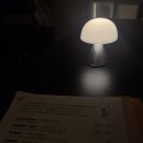 광연목장 | 23.08_3주차