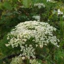 아름다운농장비밀의화원 이미지