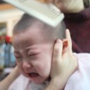 쭌미용실 네이버블로그