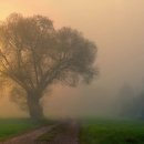 성공한공인중개사사무소 이미지