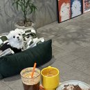 에이에이커피(AA coffee)