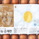 당당