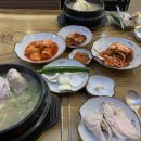 한방삼계탕 티스토리