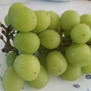 샤인광고 이미지