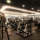 (주)헬스보이짐가락프리미엄 이미지