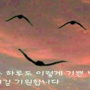 한홀초등학교 이미지