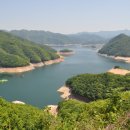 산천초목 이미지