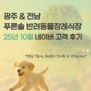 늘푸른솔약국 | 광주 전남 반려동물장례식장 푸른솔, 2025년 10월 네이버 고객 장례 후기