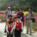 도미니꼬 애덕 어린이집 이미지