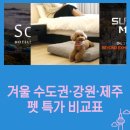글래드 호텔앤리조트(주)메종 글래드  제주 | 겨울 수도권·강원·제주 펫 특가 비교표｜소노펫·수원메쎄 도그쇼·메종 글래드 제주 3선 (3분 요약)