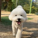 여주 멍스타 이미지