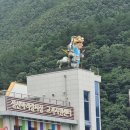 정선읍 녹송공원 주차장 이미지