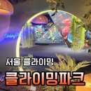 강남 클라이밍파크 일일권 가격 원정후기