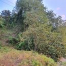 홍은농장 이미지