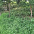 함평천지길 이미지