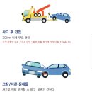 강아지 반려견 동반 오키나와 일본 여행 렌트카 대여/렌탈 하기 OTS