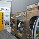 펭귄빨래방 이미지