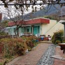 완도읍-4 이미지