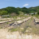 형제 2농장 이미지